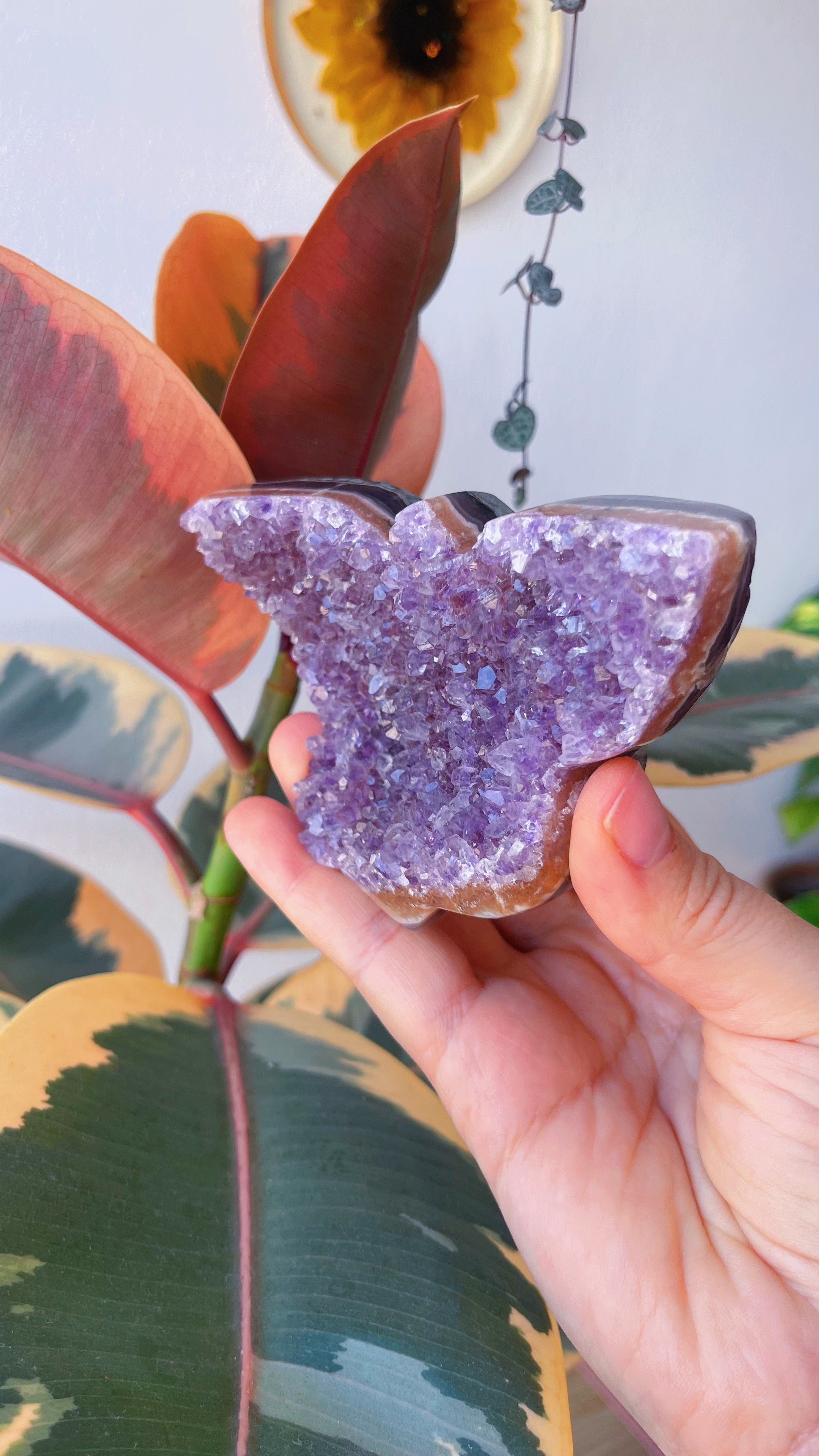 Drusa de Amatista Uruguaya en forma de Mariposa