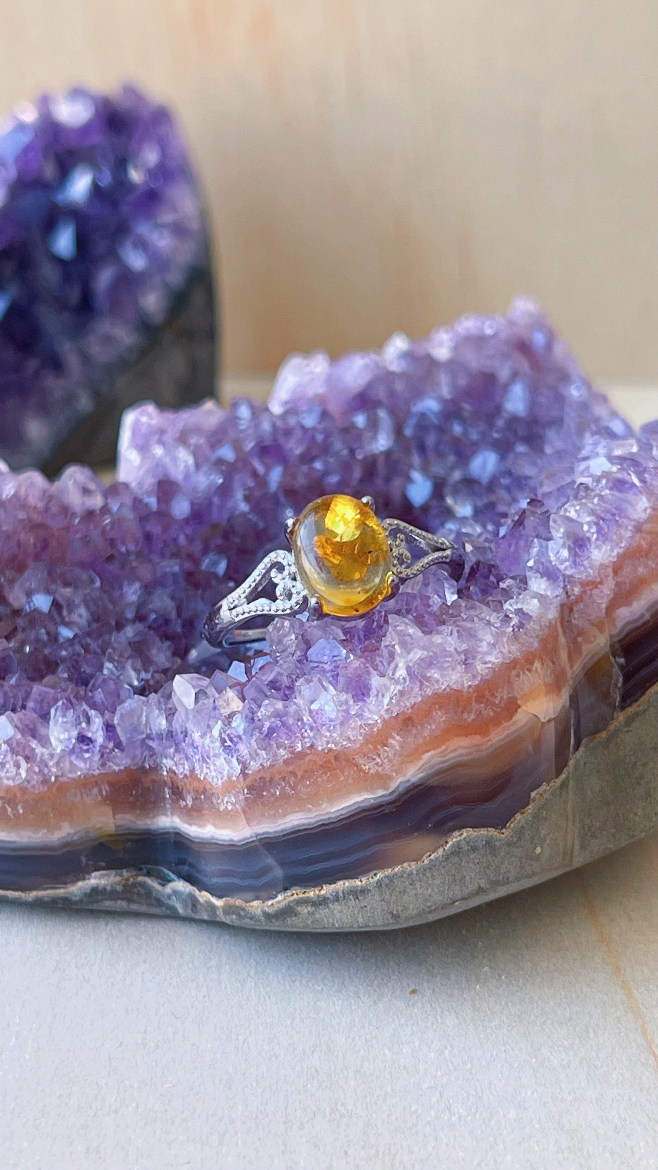 Anillo de Ámbar