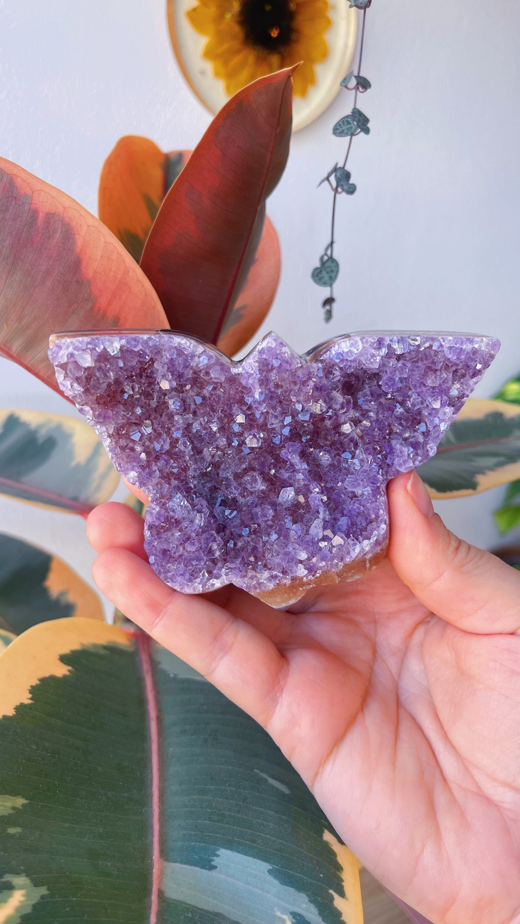 Drusa de Amatista Uruguaya en forma de Mariposa