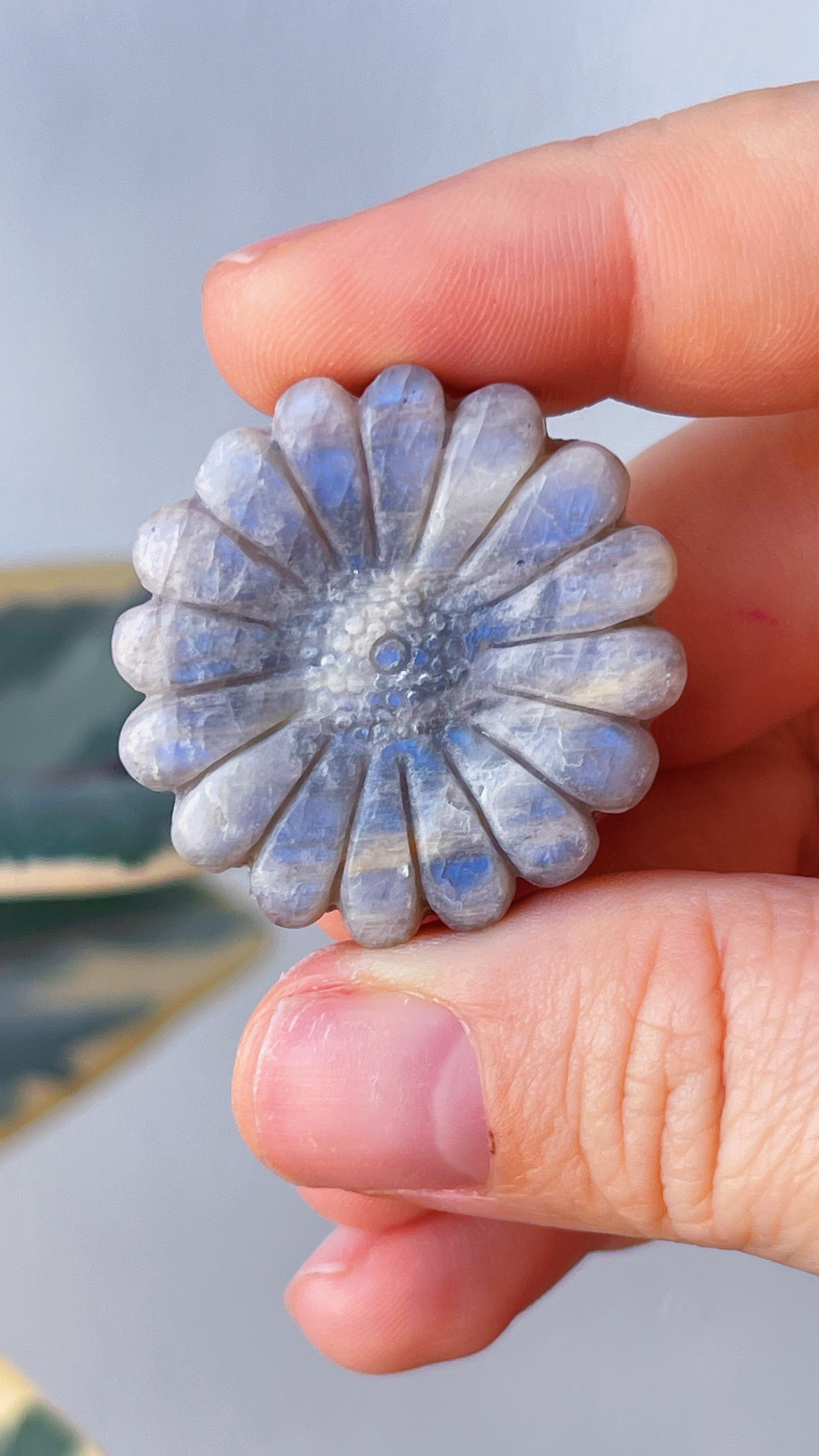 Margarita Piedra Luna Gris