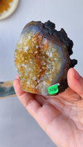 Drusa de Ágata Marrón