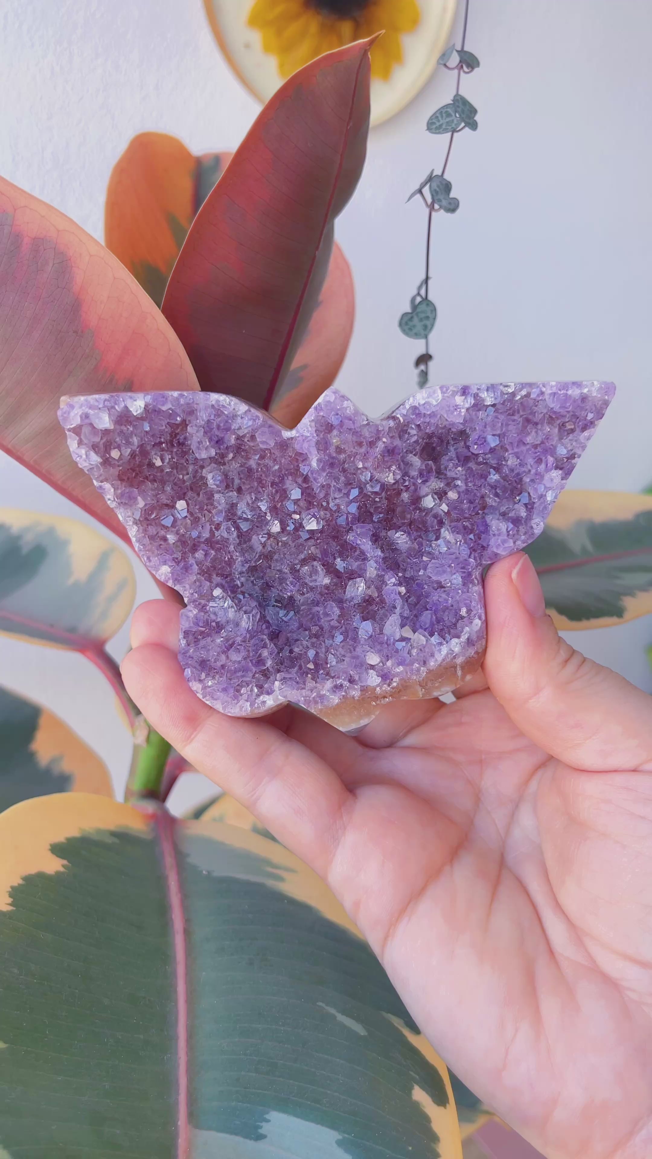 Drusa de Amatista Uruguaya en forma de Mariposa