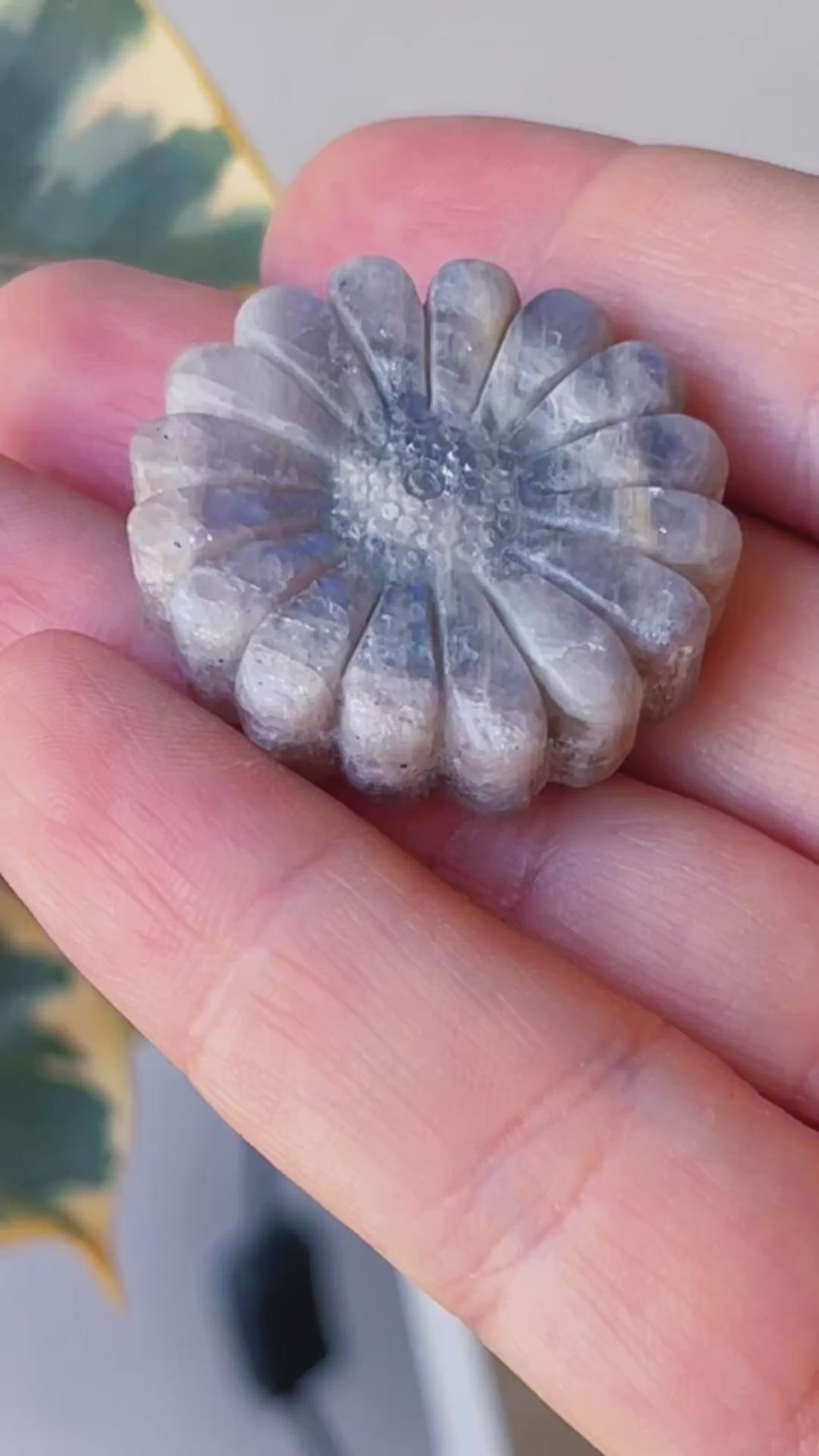 Margarita Piedra Luna Gris