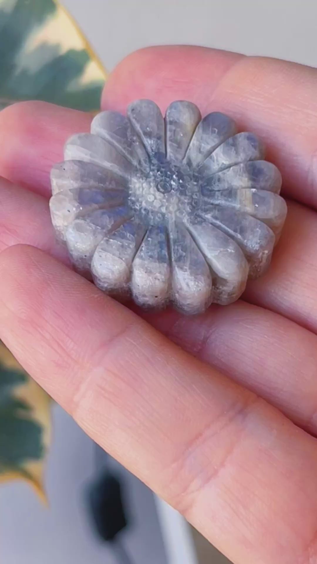 Margarita Piedra Luna Gris